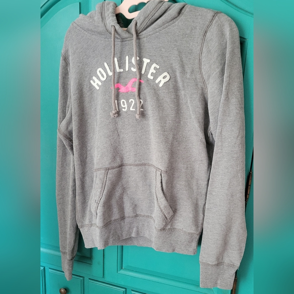 Hollister Y2K Gray Hoodie with Pink Logo